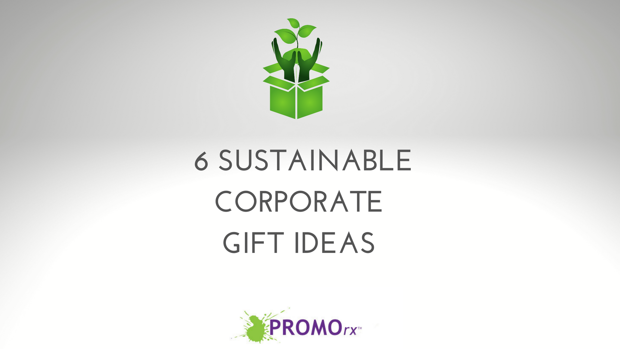 6 Sustainable Corporate Gift Ideas
