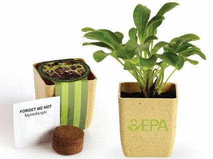 plant fiber pots Biodegradable Flower Pots