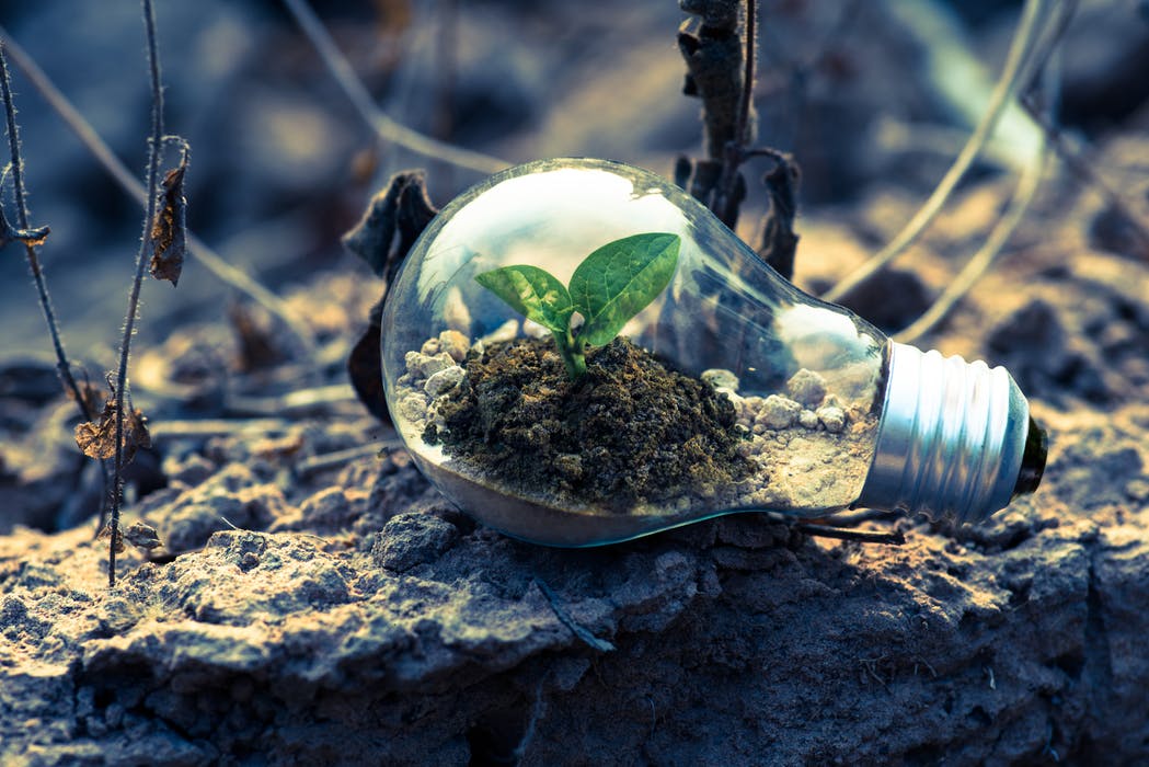 Here’s How to Buy Green & Still Promote Your Business