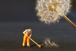 Is it Time to “Marie Kondo” Your Company Swag?