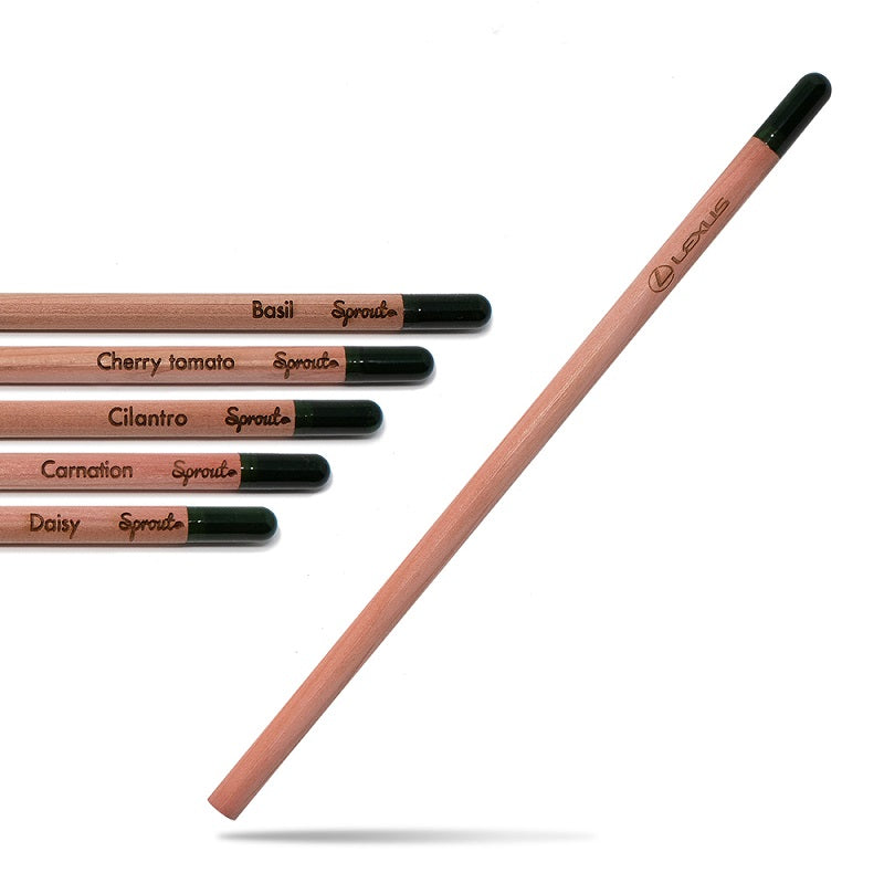 Eco Pencil To Plant After Using